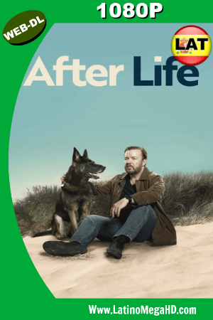 After Life: Más allá de mi mujer (Miniserie de TV) (2019) Temporada 1 Latino WEB-DL 1080P ()